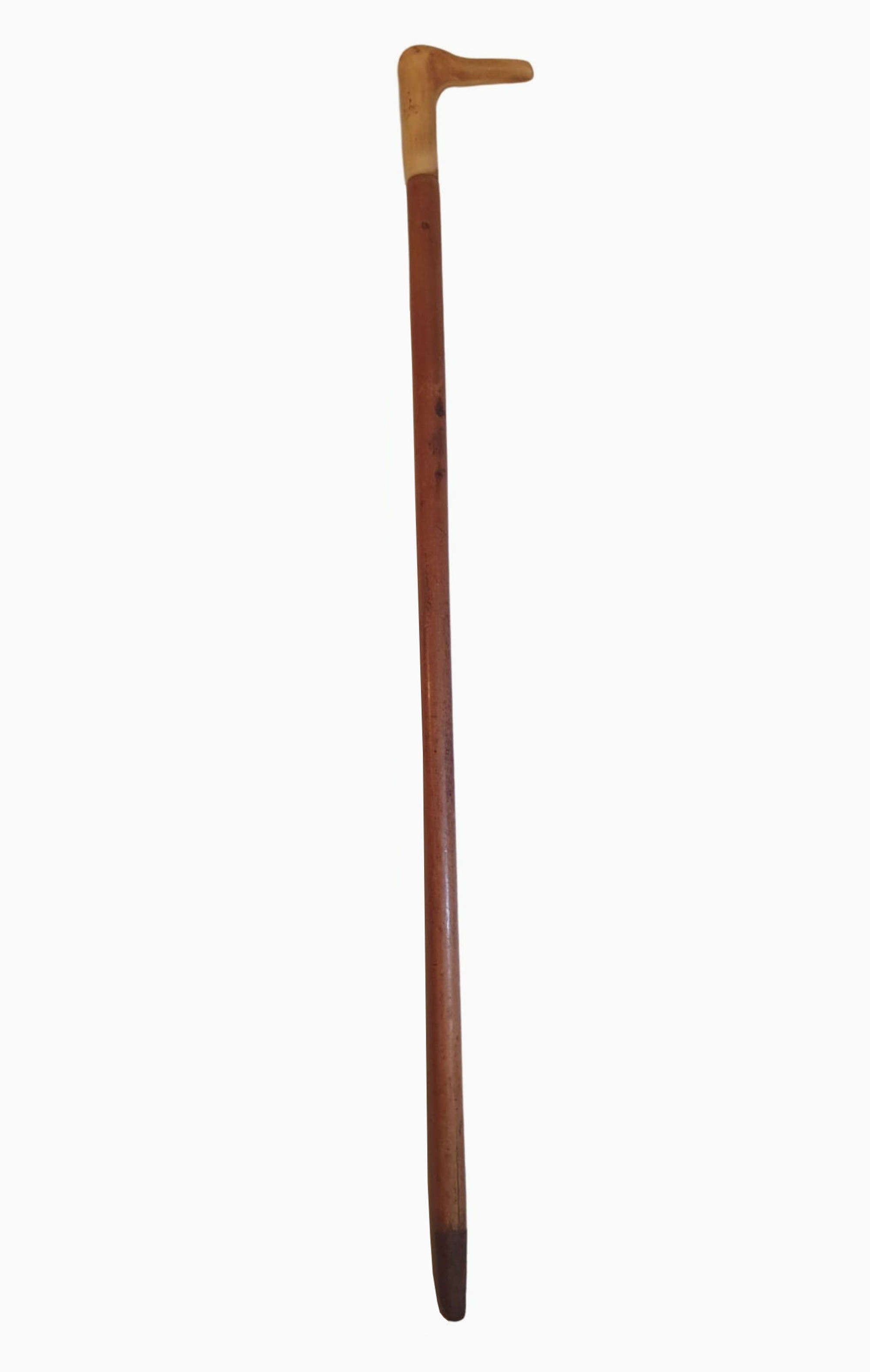 A Superb 19th Century Walking Stick With Bone Handle