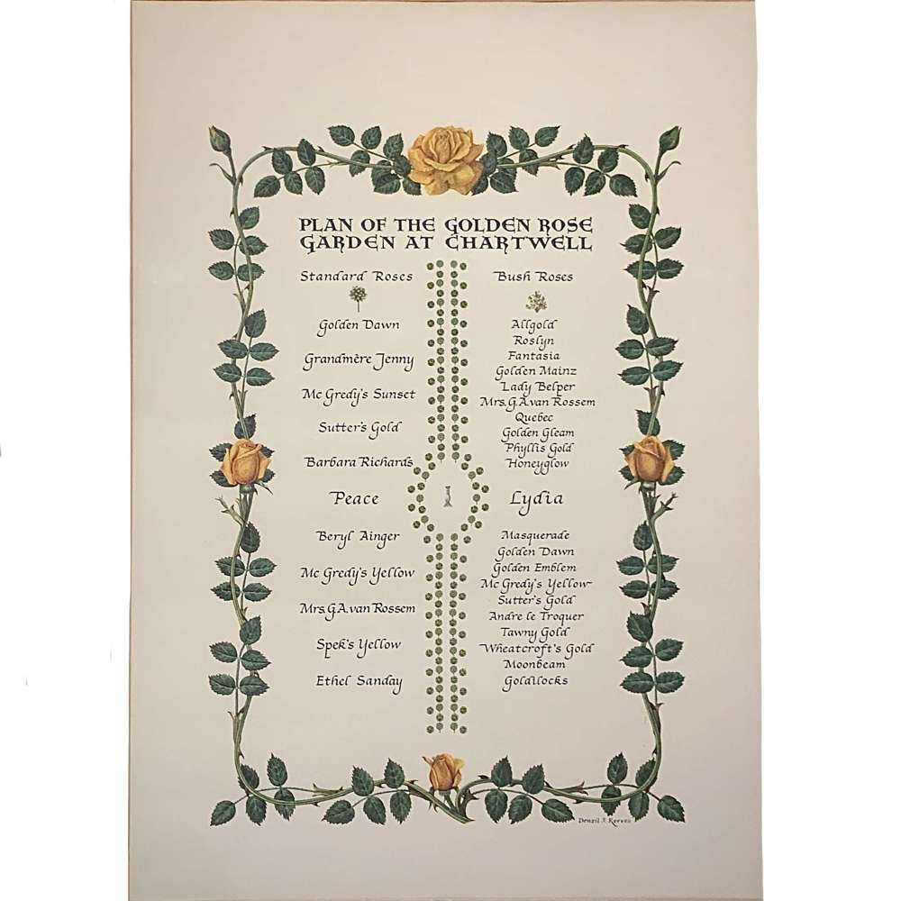Sir Winston & Lady Clementine Churchill Golden Anniversary Rose Garden